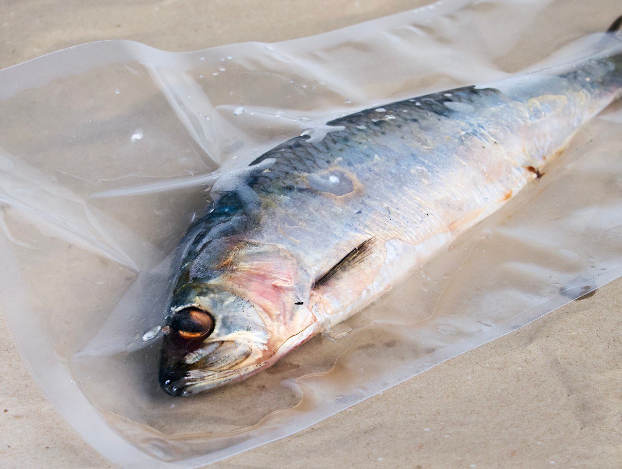 Дунайка слабосолона, БОЧКОВОГО ПОСОЛУ (одна тушка)