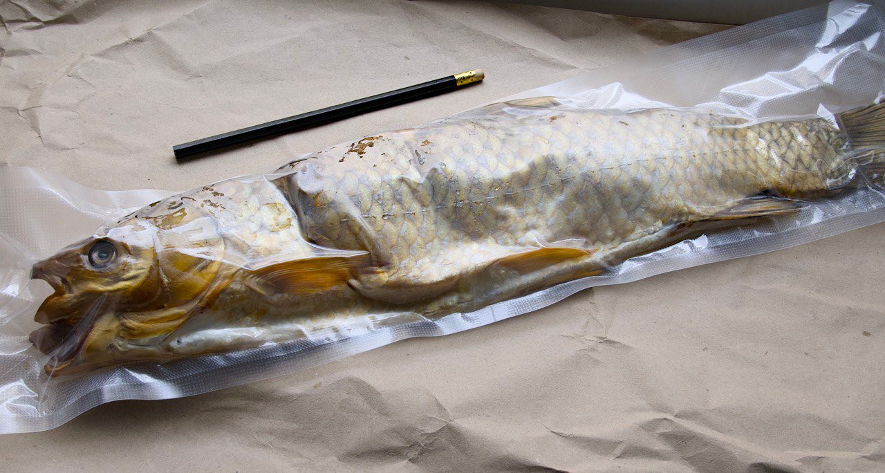 Балик Білого Амура холодного копчення